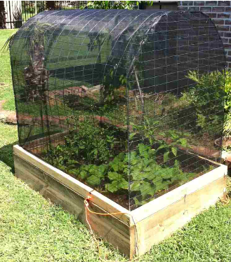 Covered Vegetable Garden